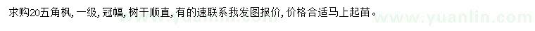 求購(gòu)20公分五角楓