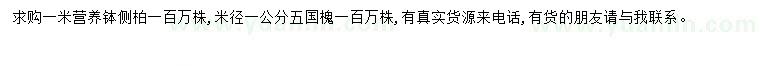 求購(gòu)1米側(cè)柏、1.5公分國(guó)槐