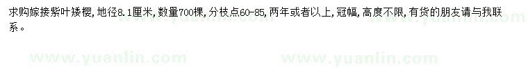 求購地徑8.1公分紫葉矮櫻