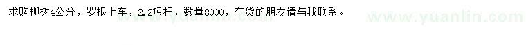 求購4公分柳樹(shù)