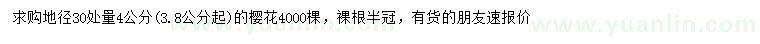 求購30量3.8公分以上櫻花