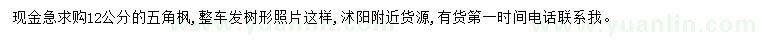 求購12公分五角楓