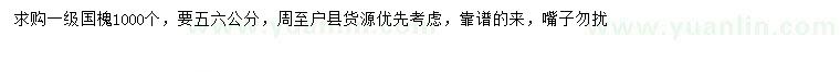 求購5、6公分國槐