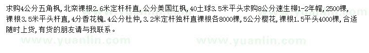 求購(gòu)五角楓、美國(guó)紅楓、速生柳 等