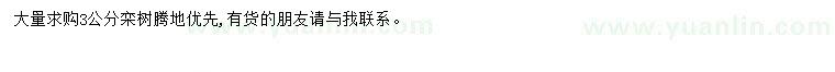 求購3公分欒樹