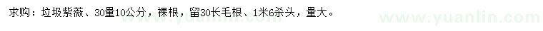 求購30量10公分紫薇