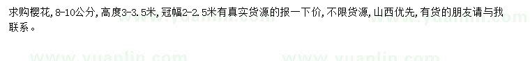 求購8-10公分櫻花