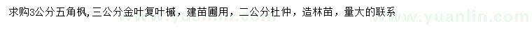 求購五角楓、金葉復(fù)葉槭、杜仲