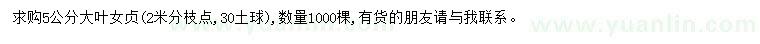 求購5公分大葉女貞