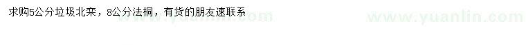 求購5公分北欒、8公分法桐