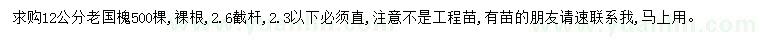 求購(gòu)12公分老國(guó)槐