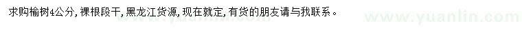求購4公分榆樹