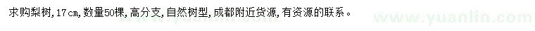 求購17公分梨樹