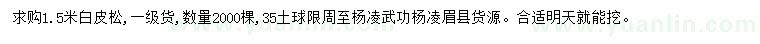 求購1.5米白皮松