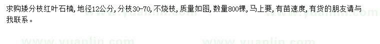 求購地徑12公分紅葉石楠
