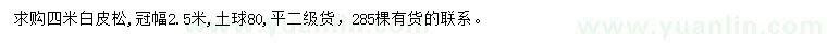 求購(gòu)4米白皮松