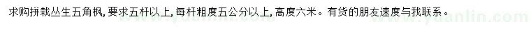求購(gòu)高6米叢生五角楓