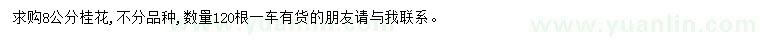 求購8公分桂花
