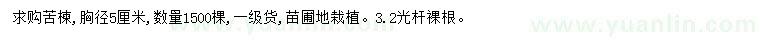 求購胸徑5公分苦楝