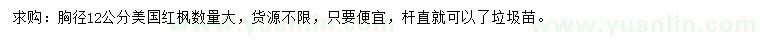 求購胸徑12公分美國紅楓
