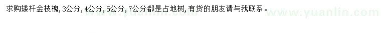 求購(gòu)金枝槐