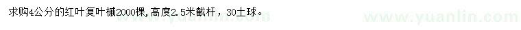 求購4公分紅葉復(fù)葉槭