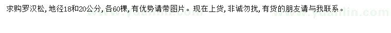 求購地徑18-20公分羅漢松