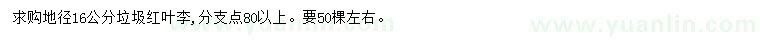 求購(gòu)地徑16公分紅葉李