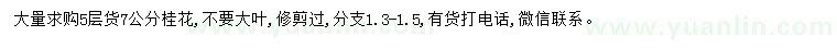 求購(gòu)7公分桂花