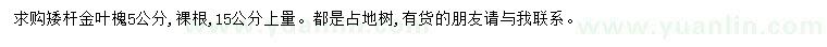 求購(gòu)5公分金葉槐