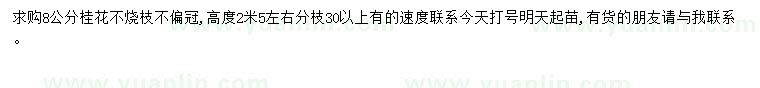 求購(gòu)8公分桂花