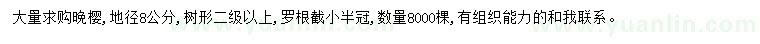求購地徑8公分晚櫻