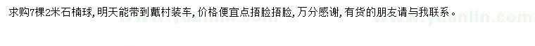 求購2米石楠球