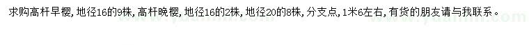 求購早櫻、晚櫻
