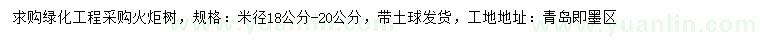 求購18-20公分火炬樹