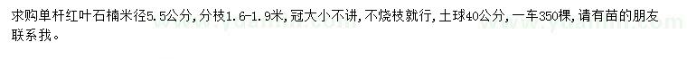 求購米徑5.5公分紅葉石楠