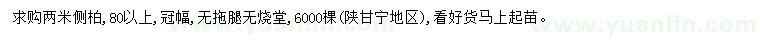 求購2米側(cè)柏