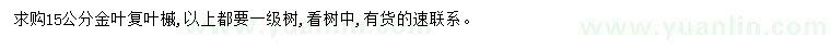 求購15公分金葉復(fù)葉槭