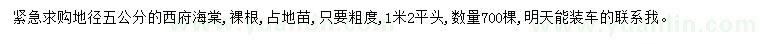 求購地徑5公分西府海棠