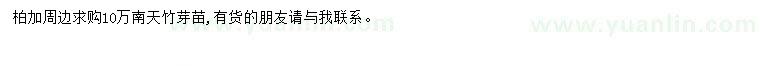求購(gòu)南天竹