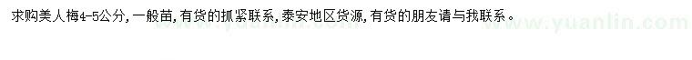 求購(gòu)4-5公分美人梅
