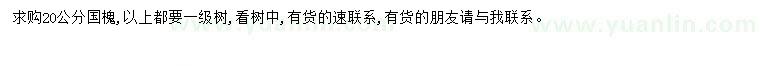 求購20公分國槐