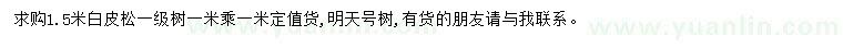 求購1.5米白皮松