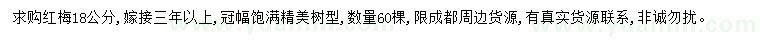 求購18公分紅梅