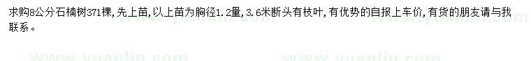 求購8公分石楠樹