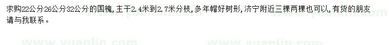 求購22-26-32公分國槐