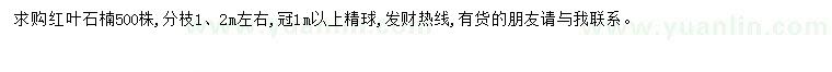 求購紅葉石楠