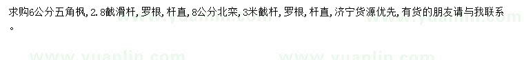求購6公分五角楓