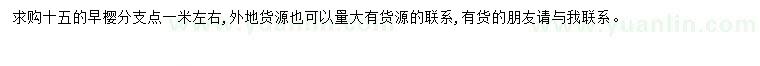 求購15公分早櫻