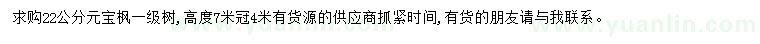 求購22公分元寶楓